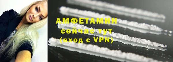 прущие грибы Баксан