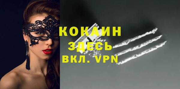 прущие грибы Баксан