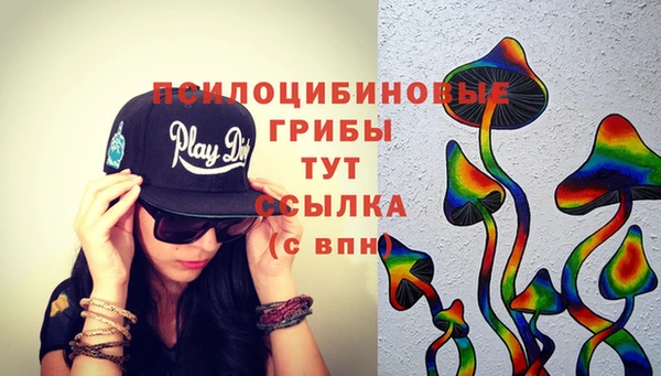 прущие грибы Баксан