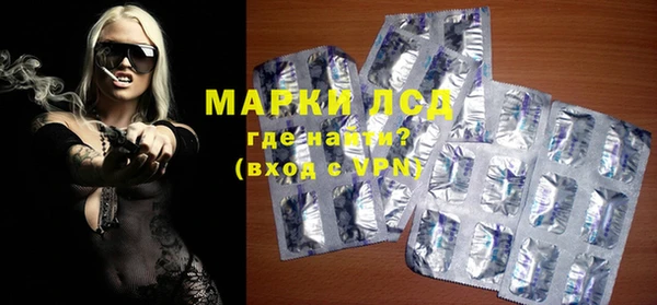 прущие грибы Баксан
