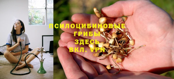 прущие грибы Баксан