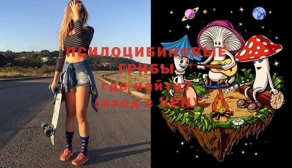 прущие грибы Баксан